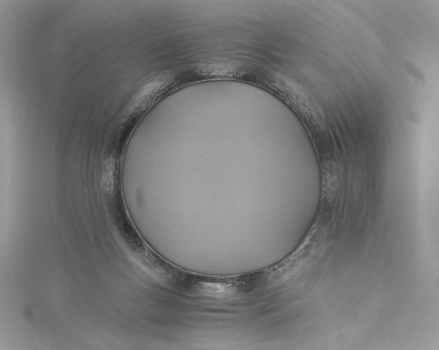 X0000115350167200911171339