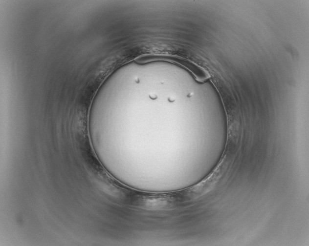 X0000115350175200911171340