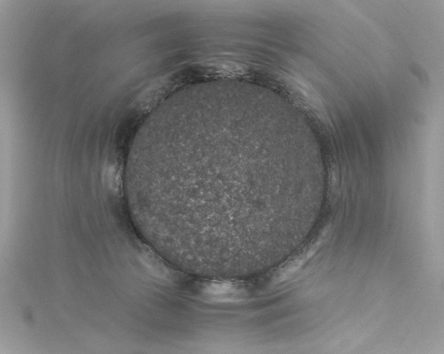 X0000115350177200911171340