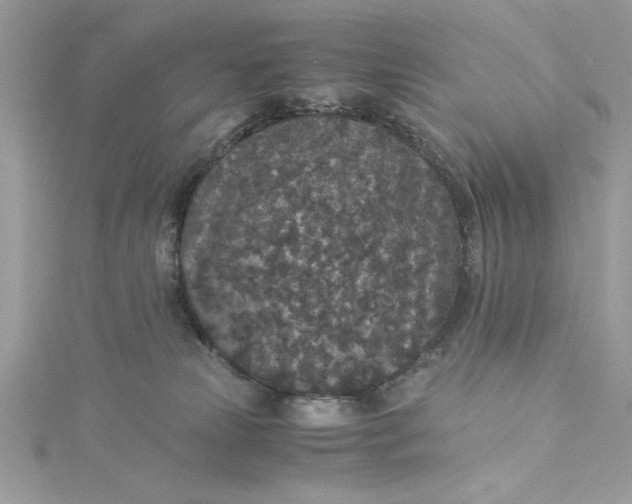 X0000115350181200911171340