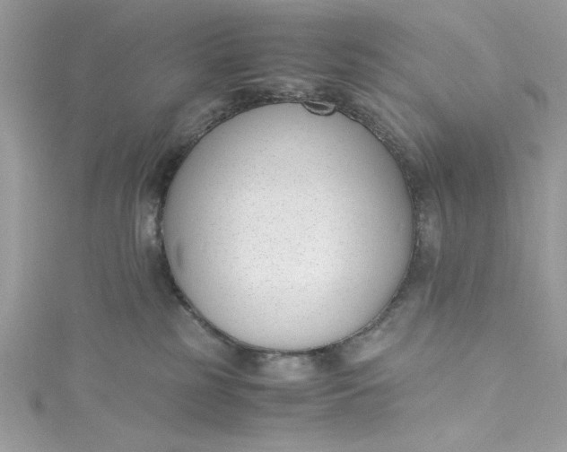 X0000115350185200911171340
