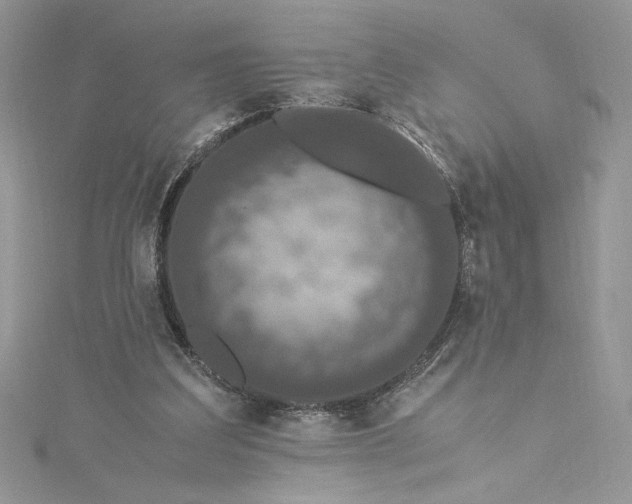 X0000115350203200911171339
