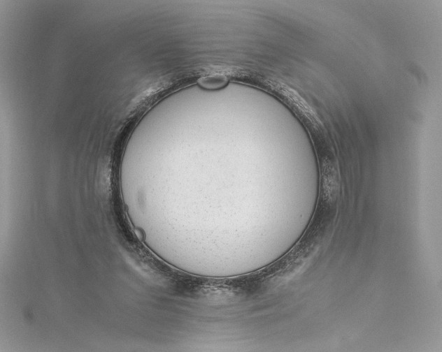 X0000115350207200911171339