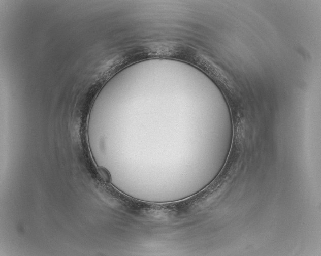 X0000115350209200911171339