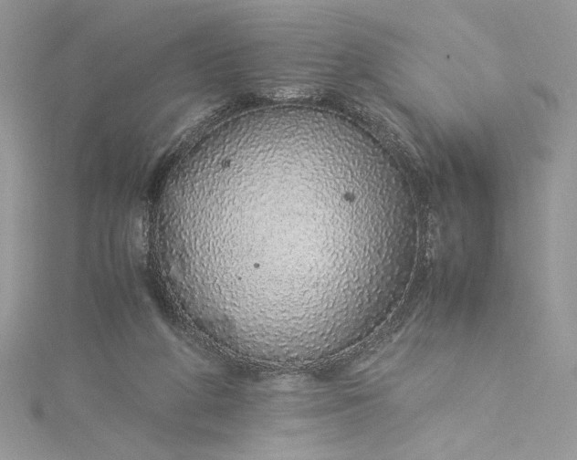 X0000115350210200911171339