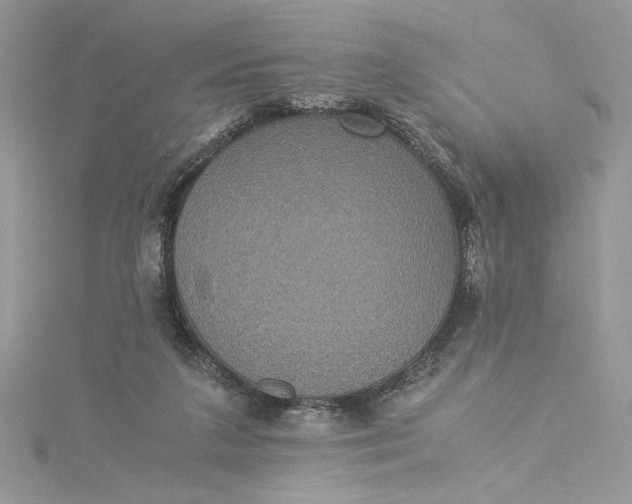 X0000115350211200911171339
