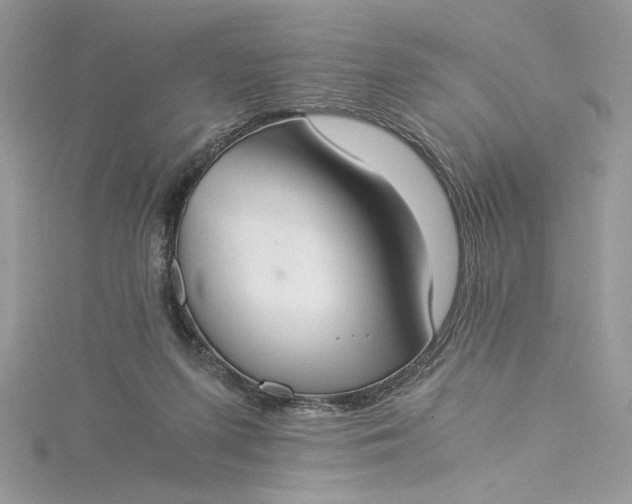X0000115350215200911171339