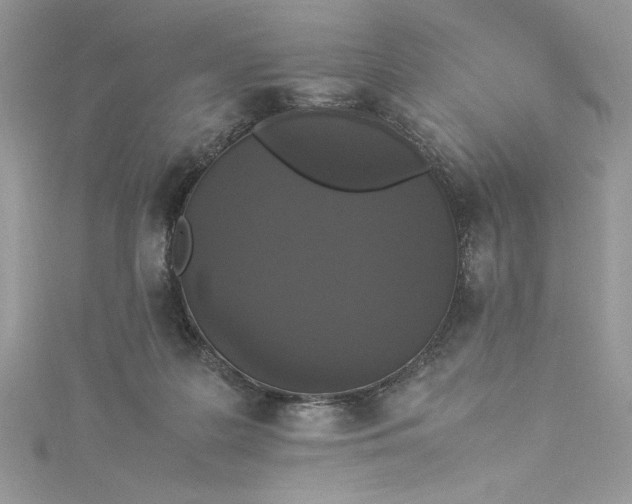 X0000115350219200911171339