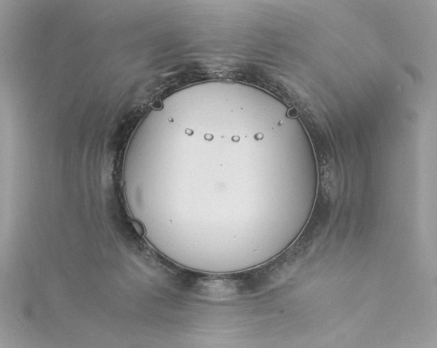 X0000115350221200911171339
