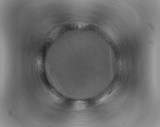X0000115350222200911171339