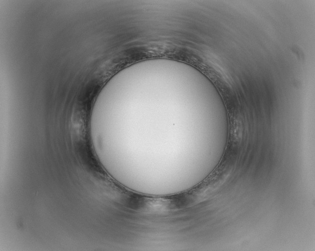 X0000115350226200911171339