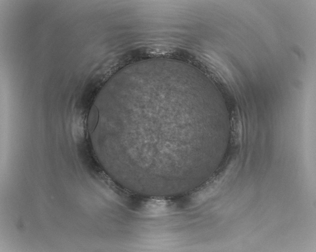 X0000115350227200911171339