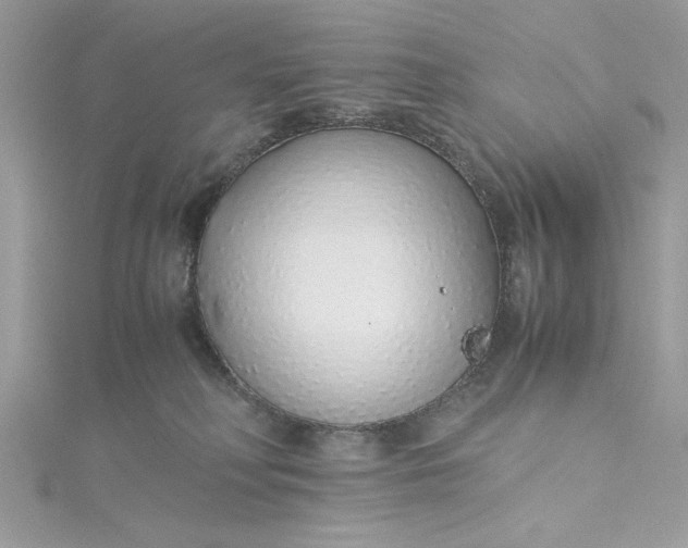 X0000115350230200911171339