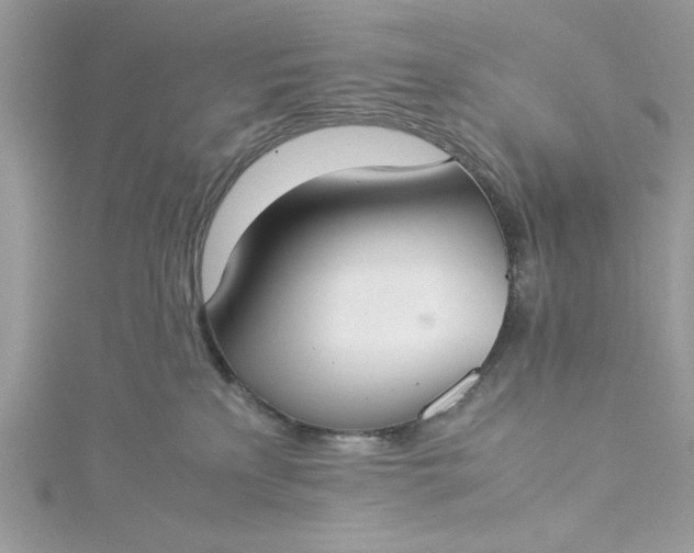 X0000115350233200911171339
