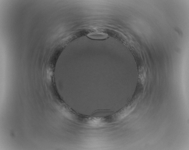 X0000115350235200911171339