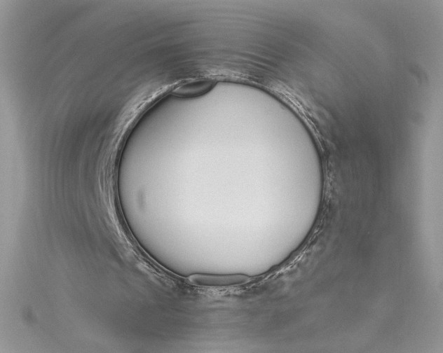 X0000115350241200911171338