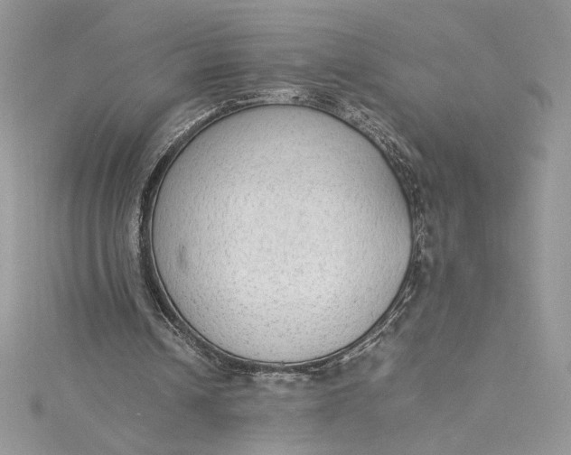 X0000115350242200911171338
