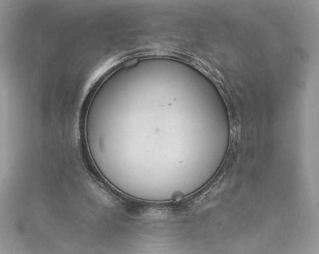 X0000115350248200911171338