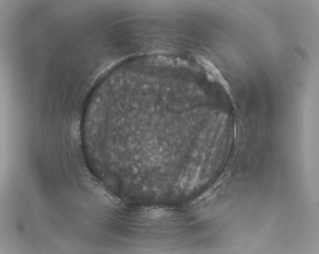 X0000115350249200911171338