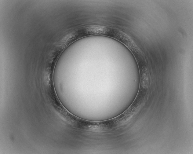 X0000115350259200911171338