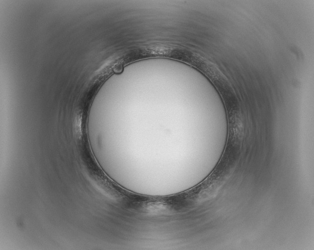 X0000115350262200911171338