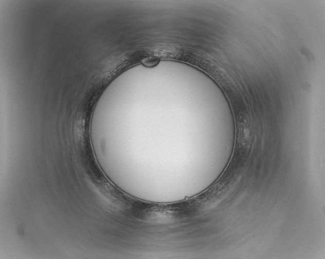 X0000115350263200911171338
