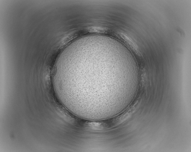 X0000115350265200911171338
