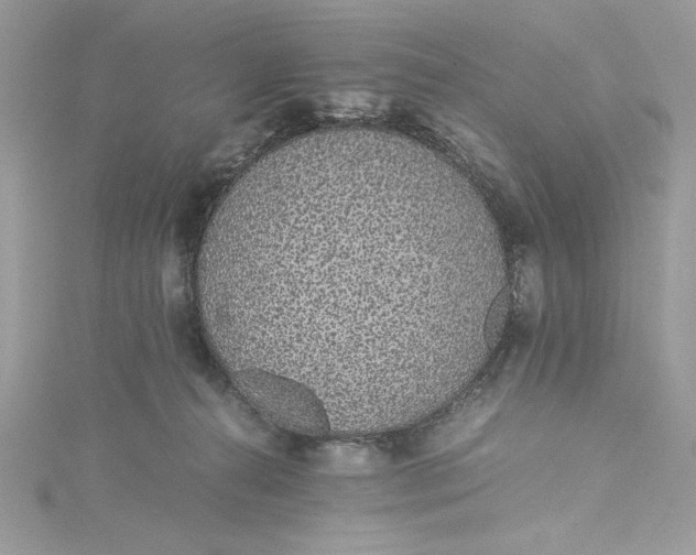 X0000115350272200911171338