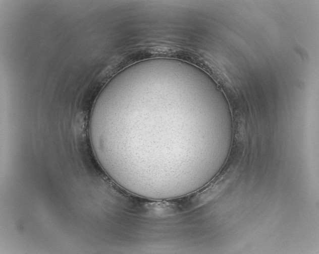 X0000115350273200911171338