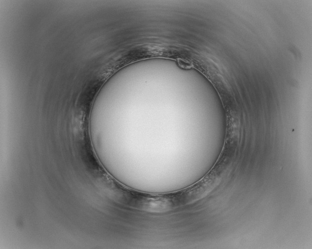 X0000115350275200911171338