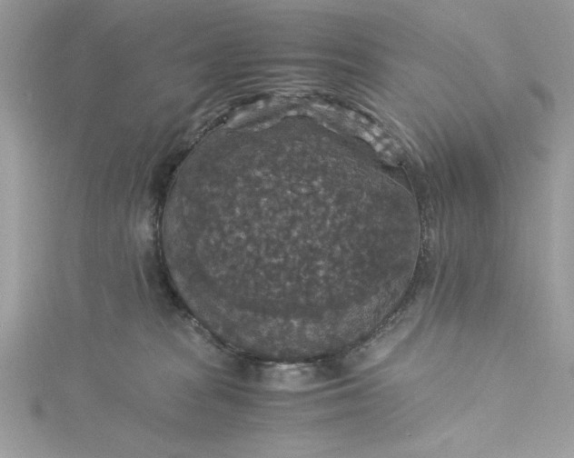 X0000115350277200911171338
