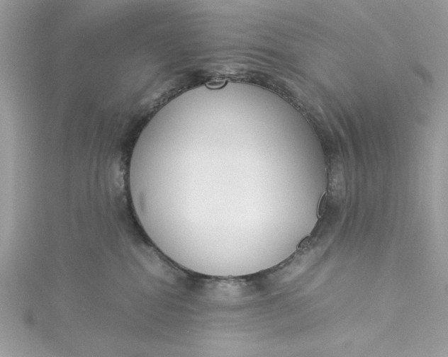 X0000115350282200911171338