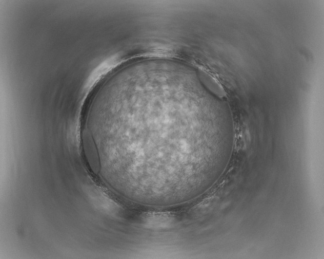 X0000115350296200911171338