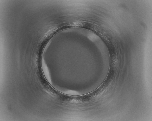 X0000115350303200911171337