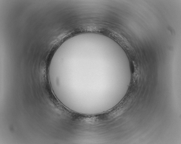 X0000115350306200911171337