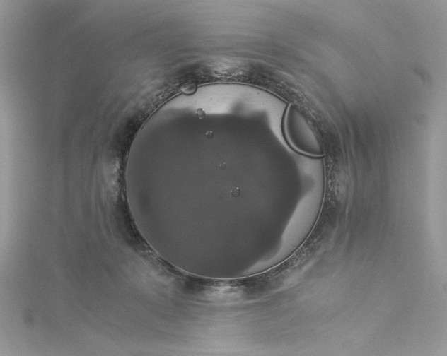 X0000115350319200911171337