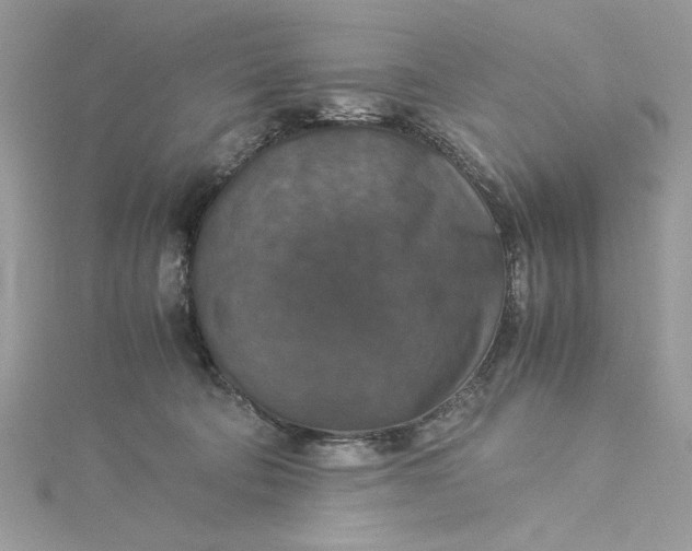 X0000115350322200911171337