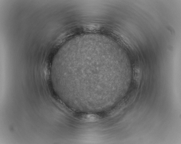 X0000115350324200911171337