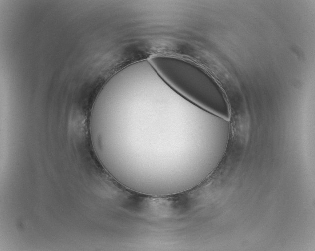 X0000115350327200911171337