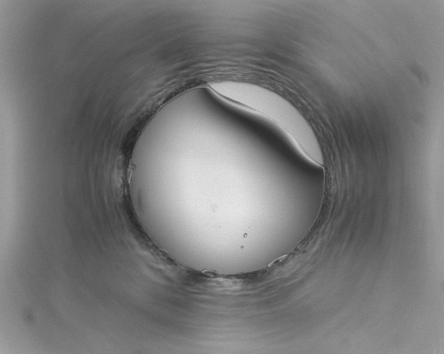 X0000115350328200911171337