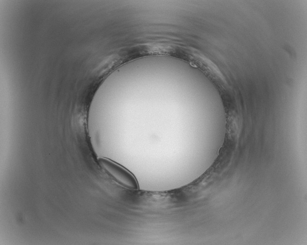X0000115350329200911171337