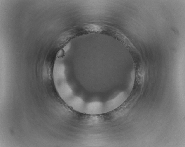 X0000115350330200911171337