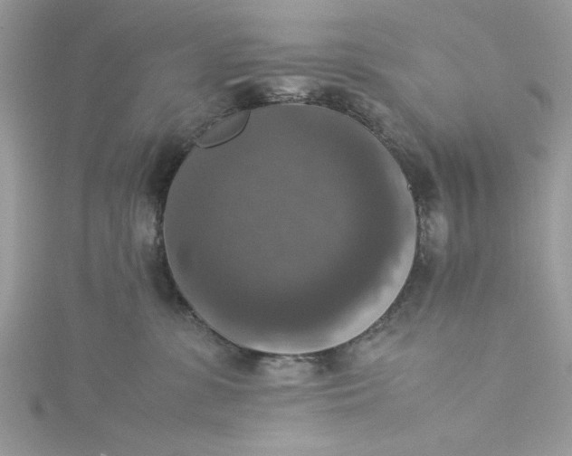 X0000115350331200911171337