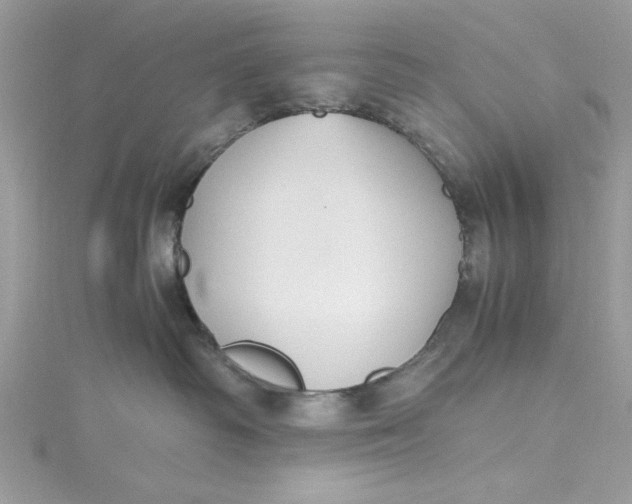 X0000115350334200911171337