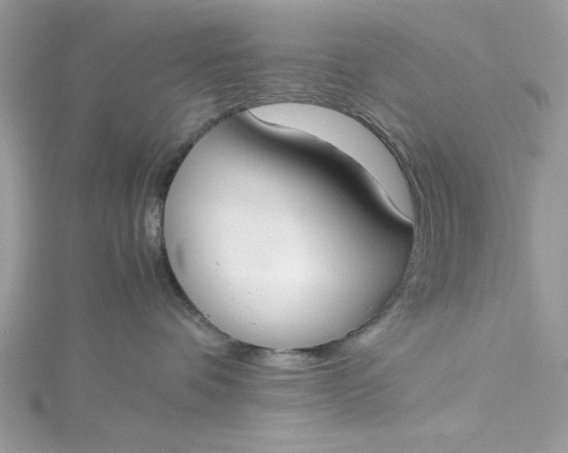 X0000115350336200911171337