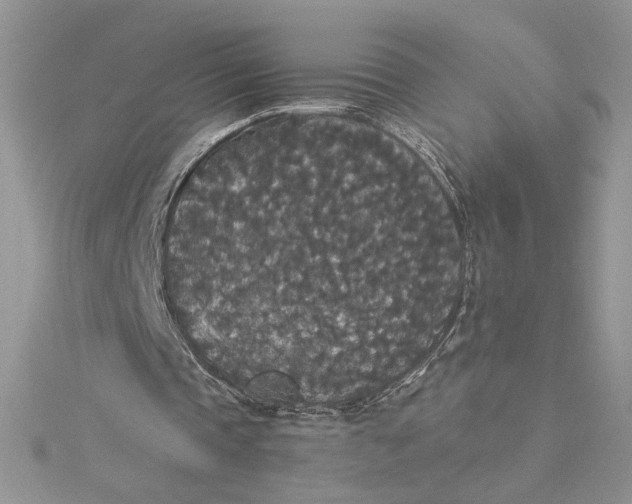 X0000115350337200911171336