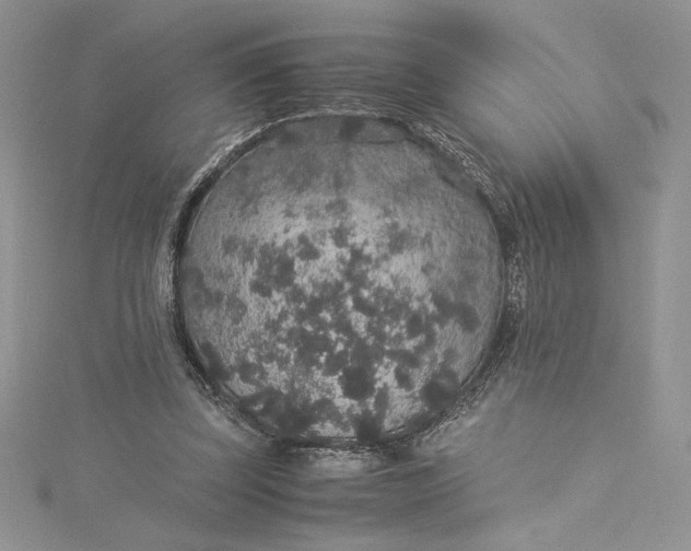 X0000115350347200911171337