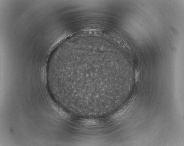 X0000115350349200911171337