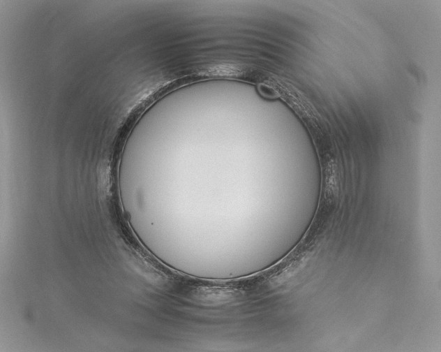 X0000115350351200911171337