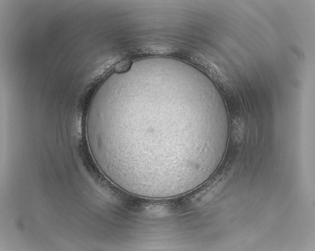 X0000115350358200911171337